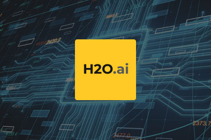 H2O.ai For Automated Logo
