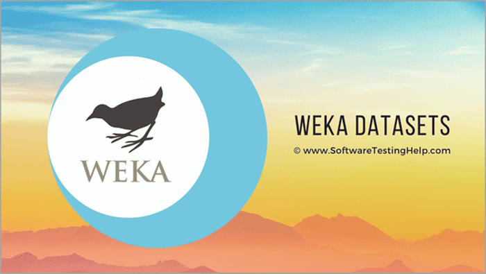 WEKA Logo